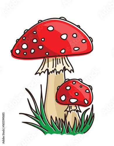 The forest mushrooms with a green grass.