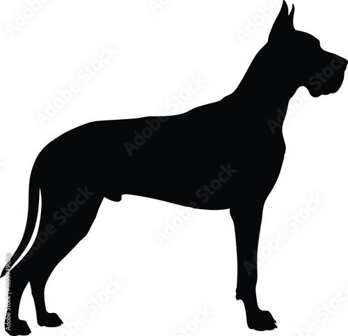 Great Dane dog silhouette, standing profile, majestic canine breed, black and white illustration, pet artwork, animal lover design, elegant dog pose