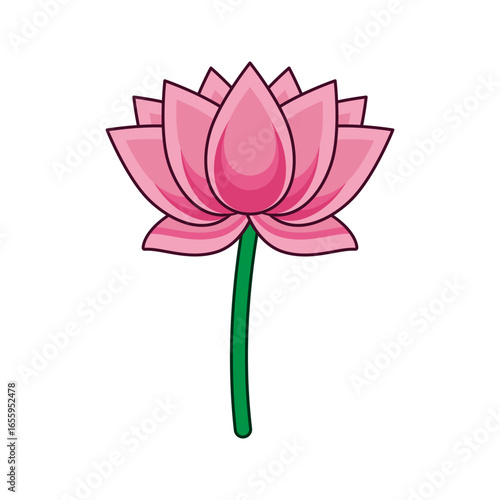 Vector illustration of beautiful pink Lotus on transparent background