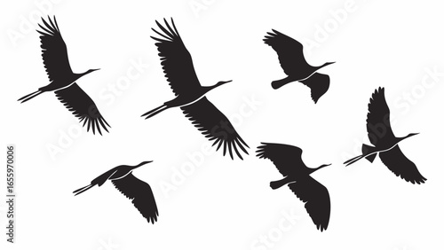 Silhouette flock of cranes soaring in formation against a white backdrop creating a sense of migration and freedom in vector format image