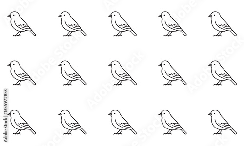 Seamless Bird Pattern Outline Vector Illustration