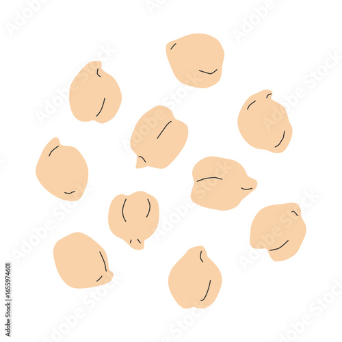 Simple chickpea vector illustration. 
