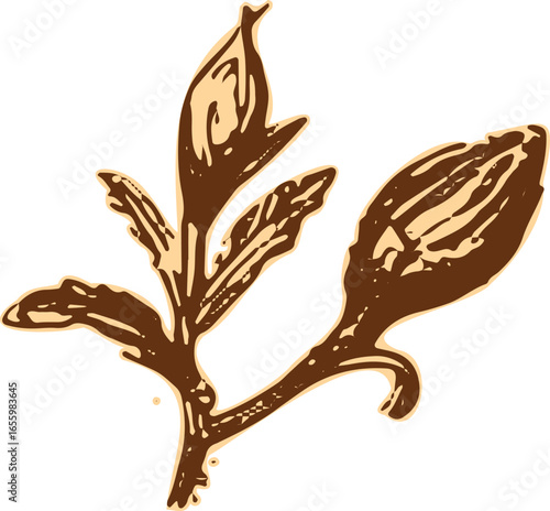 Leaf and bud on a botanical branch in vintage woodcut style. Brown monochrome vector illustration with detailed engraving effect.