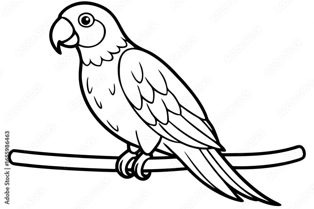 Fototapeta premium Fun Black and White Parrot Drawing for Coloring and Art