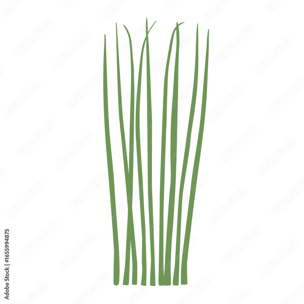 Obraz premium Simple chives vector illustration.