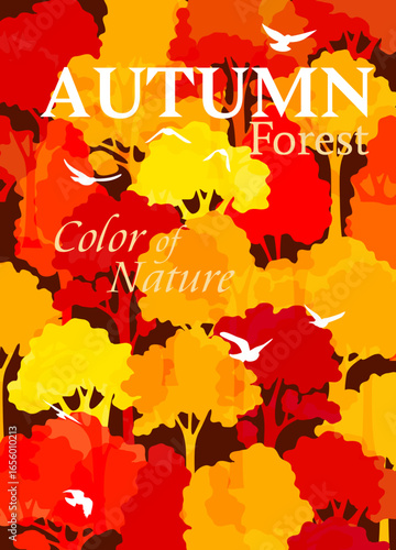 Autumn forest with flying birds. Vector colorful poster.