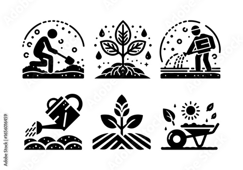 Simple illustrations depict the stages of plant care: planting, watering, fertilizing, and harvesting.