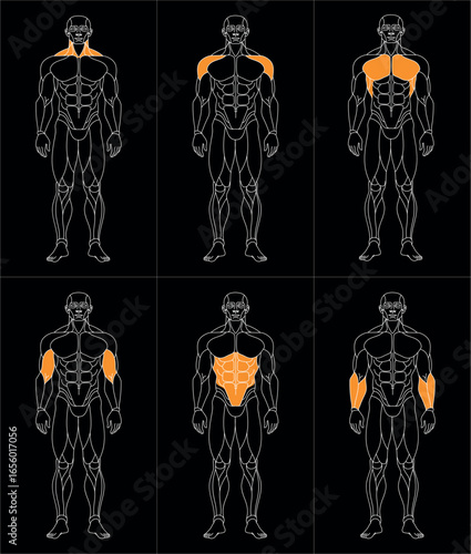 sportman_front_oben_b