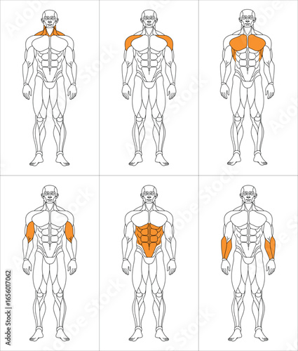 sportman_front_oben_w