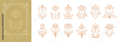 Set of boho simple geometric branch and flowers. Botanic design elements in wavy and vintage style. Leaves and branches print for logo, social media or packaging