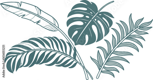 Elegant Tropical Leaves Vector Illustration Banana, Monstera, Palm
