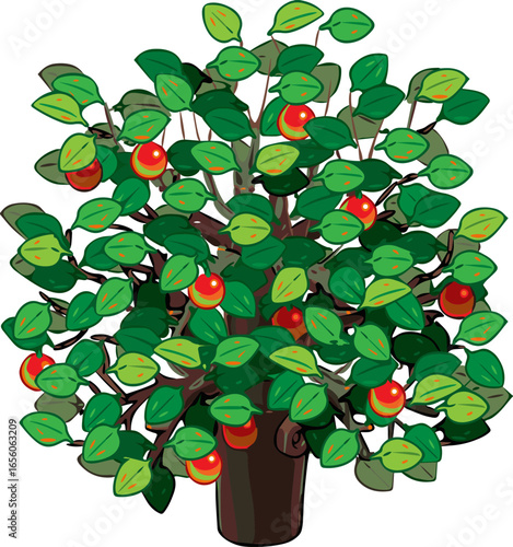 Isolated a kinds of deferent Tree vector art color with white background.