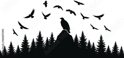 Majestic silhouette of eagle perched on rock surrounded by pine trees, soaring birds flying, wilderness nature scene, freedom, wildlife