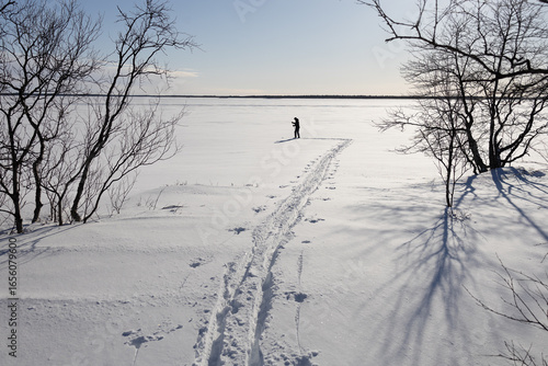 ein Mann zieht eine Loipe auf einem weiten See, im Vordergrund kahle Bäume