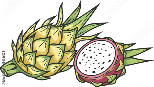 Illustration of a whole pineapple and a half of a dragon fruit with white flesh and black seeds