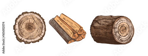 Hand drawn color vintage sketch of firewood, stump and log in brown ink engraving style, isolated vector illustration