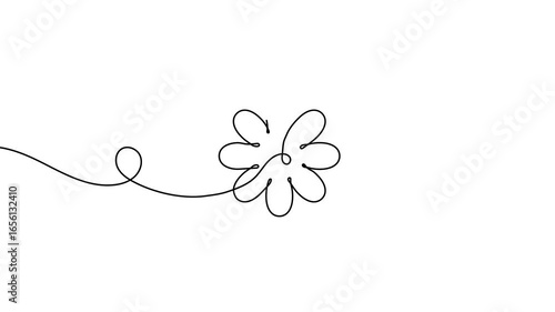Animation of a single line drawing of a flower. Continuous contour movement of a flower. Continuous video with one line.