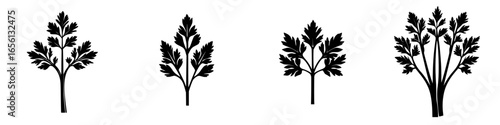 Various silhouettes of celery leaves displayed in a minimalistic style for artistic inspiration and design purposes