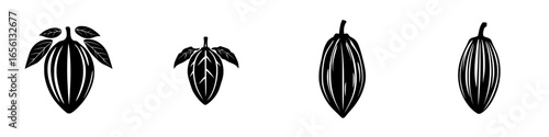 Cacao pod illustrations showcasing growth stages from pod to fully developed fruit