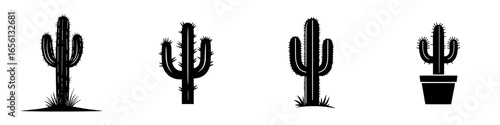 Different types of cacti illustrated in various styles and shapes for decorative purposes