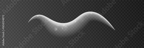 Transparent motion isolated blow smoke fog ice design glistering splash frost light blizzard snow wind cold effect vector