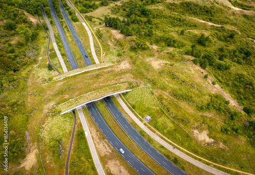 Aerial view of wildlife crossing eco-bridge over motorway, ecoduct linking natural habitats and infrastructure