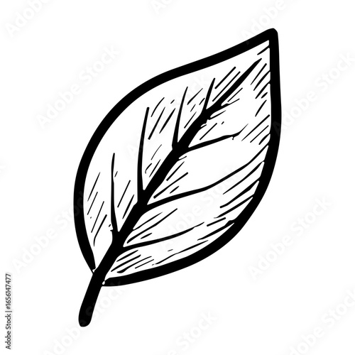 Leaf Icon