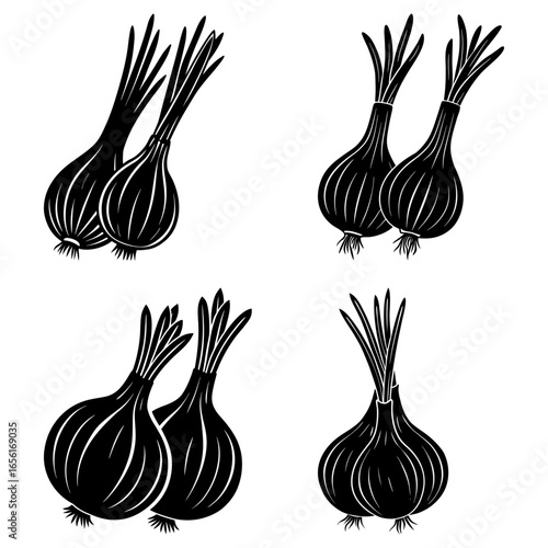 Four groups of black and white onions with long stems in a simple graphic style illustration art