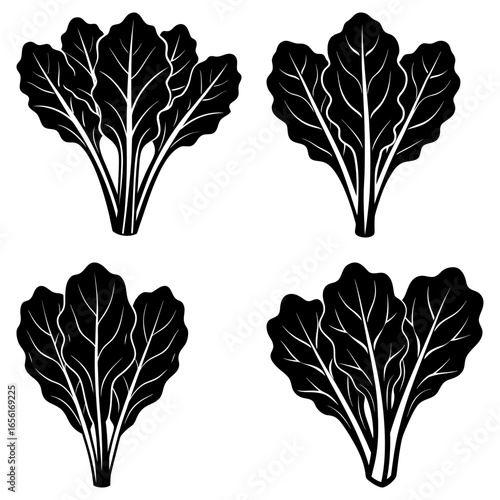 Four stylized black and white illustrations of leafy green vegetables arranged symmetrically on white background