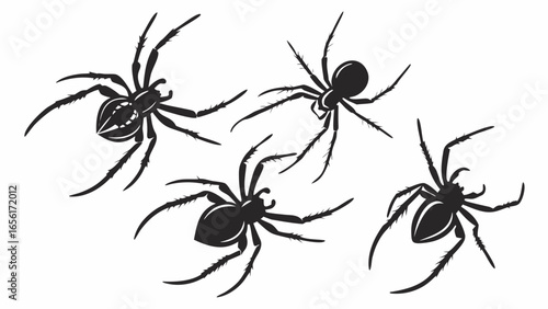 A collection of four stylized black spider silhouettes with detailed legs and bodies on a white background