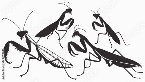 A group of black praying mantises in various poses on a white background stylized illustration