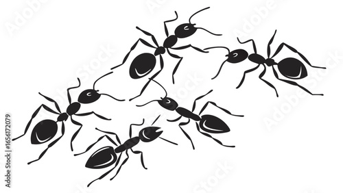 A group of five stylized black ants in a circular formation against a white background