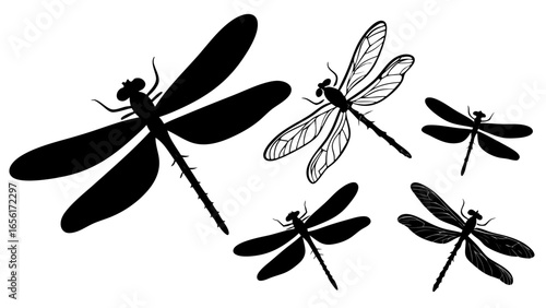 Collection of black silhouette dragonflies with detailed wing patterns and solid shapes
