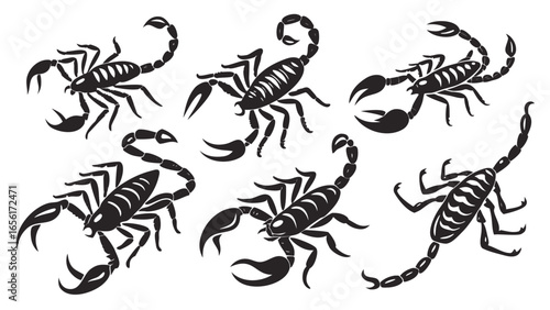 Collection of stylized black scorpion silhouettes on a white background in various poses