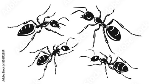 Four stylized black ants with segmented bodies and antennae are depicted in a dynamic composition against a white background