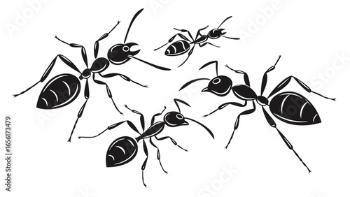 Stylized black and white vector illustration of a group of ants in motion on a white background