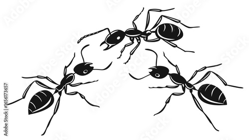 Three stylized black ants with segmented bodies and antennae depicted in a dynamic arrangement on a white background