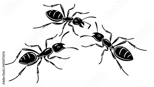 Three stylized black ants with segmented bodies and antennae in a dynamic arrangement on a white background