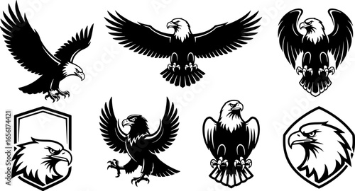 Set of Detailed Bald Eagle Logos and Emblems