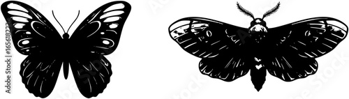 butterfly logo vector illustration moth logo vector
