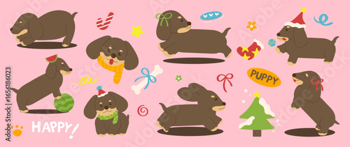 Dachshund dog element vector set. Lovely dog doodle in different pose with bone, candy cane, christmas tree, santa costume. Adorable pet hand drawn collection for T-shirt, sticker, print, pet shop.