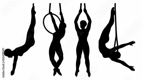 Silhouettes of aerialists performing acrobatics on various apparatuses including rings and fabric silks