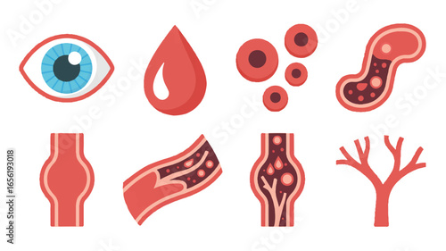 Human Anatomy Elements Featuring Eye Blood Cells and Vessels in a Medical Illustration