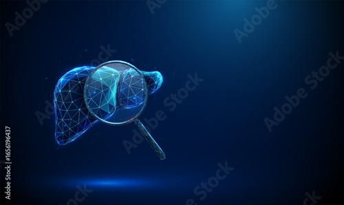 Abstract blue human liver with magnifying glass. Medical diagnostics and health concept, disease detection and analysis concept.