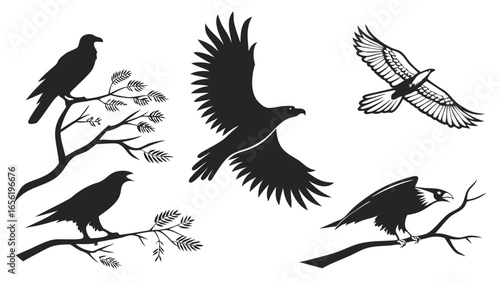 Background Vector SVG Solid White Clean Minimalist Design