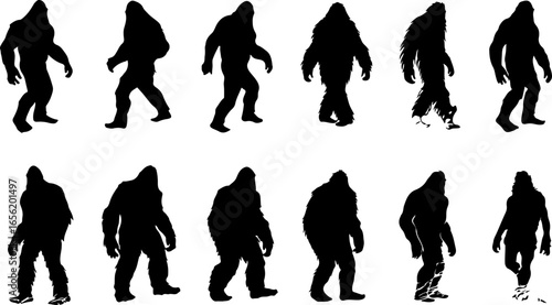 Silhouettes of Sasquatch: A Walk Through Myth and Mystery