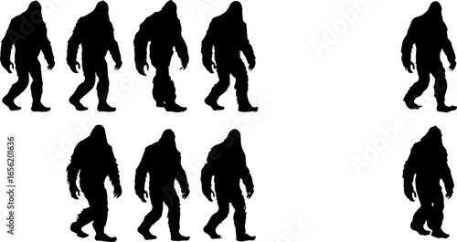 Silhouettes of Sasquatch: A Walk Through Myth and Mystery