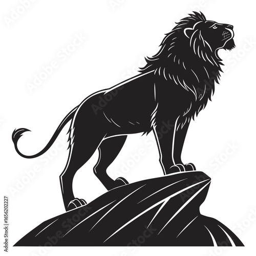 lion vector illustration