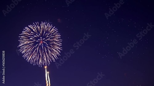 [A Moment of Beauty] Stunning Fireworks Lighting Up the Night Sky