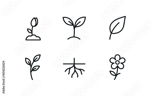 simple outline stroke icon items monoline icons style isolated on white background growth (nature): bud sprout leaf vine root bloom. simple outline stroke icon items monoline icons style